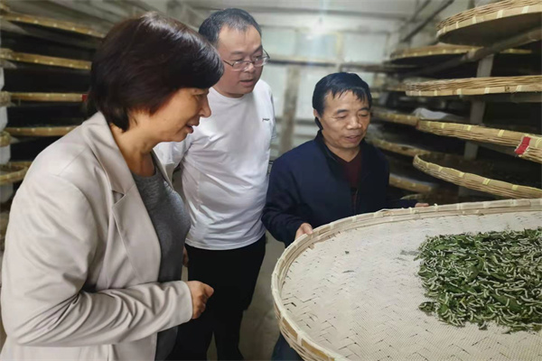 f0d9fff9792e4cc08cb7f57e3d47684b.jpg 参观家蚕饲育_副本.jpg