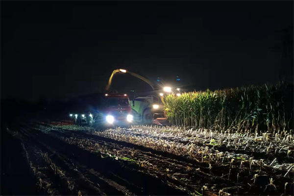 cdb5a43204c045eebcc0fc0aada5d154.jpg 深夜加班抢收.jpg