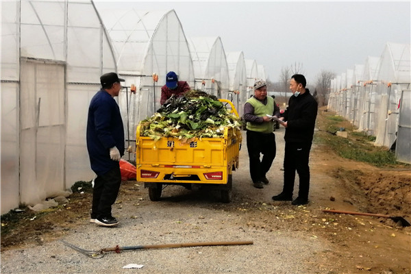 曹新庄试验农场职工清运蔬菜基地科研废弃物.jpg