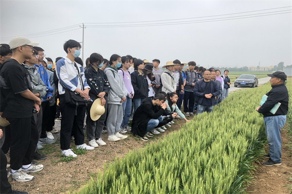 15ee066a446d42fc83009e2961bf9f7a.jpg 闵东红教授为大家讲解小麦育种研究进展.jpg